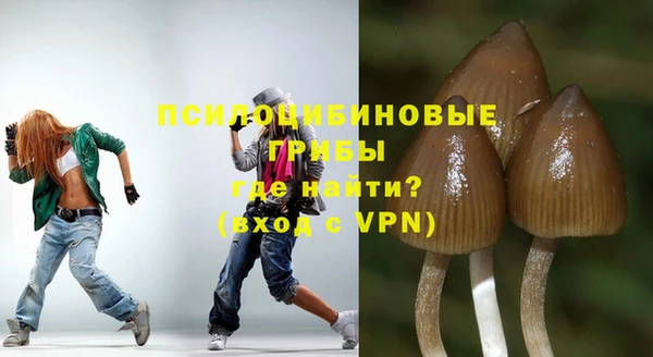 мдпв Лихославль