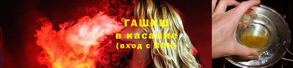 прущие грибы Магас