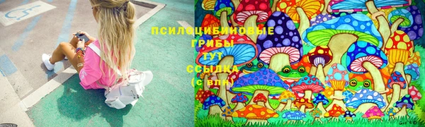 каннабис Магадан