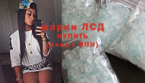 прущие грибы Магас