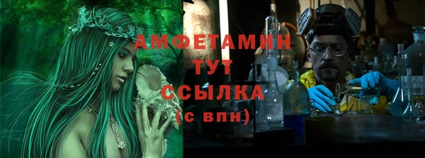 прущие грибы Магас