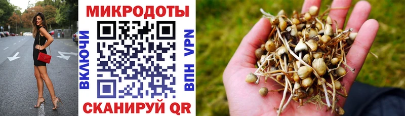 Галлюциногенные грибы прущие грибы Мантурово