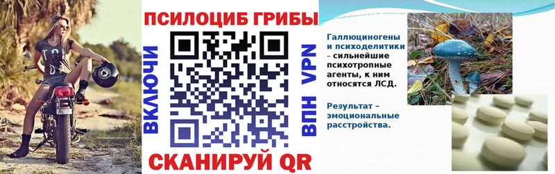 нарко площадка официальный сайт  Мантурово  Псилоцибиновые грибы Psilocybe 