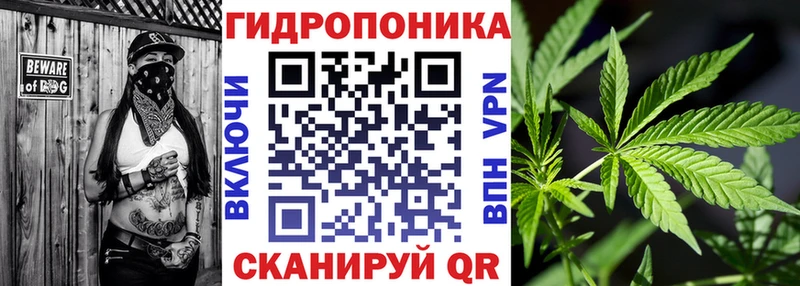Марихуана сатива блэк спрут Мантурово